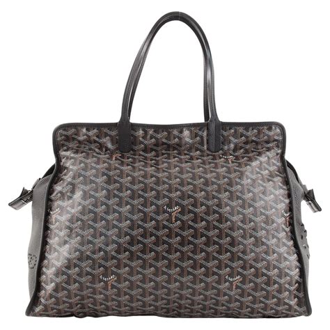goyard carrier